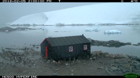 I think they want in!