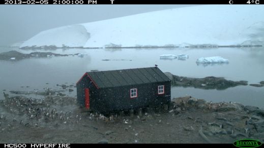 I think they want in!