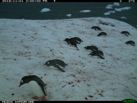 Coming back from a refreshing afternoon swim