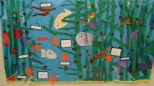 A digital story was created with all of the children’s research. I scanned the children’s writing along with their illustrations. I used Keynote and placed each of the children’s pages of text onto a slide. A small group of children were recorded reading the text upon the slides. The keynote was then exported as an iMovie. We posted the individual pages of the children’s kelp research in the hall for all the other students of our school to enjoy. I submitted the digital story to the Floating Forest blog. Here is the link to view my students’ digital informational book on kelp: http://blog.floatingforests.org