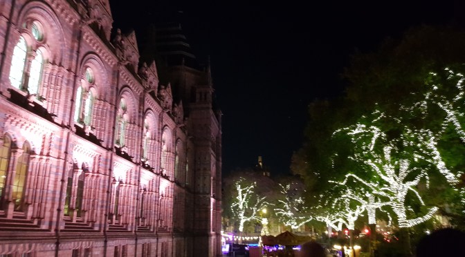 A Late Night at the Museum