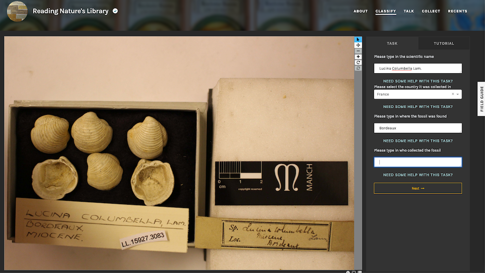 Screen Shot 2019-04-08 at 1.56.53 PM