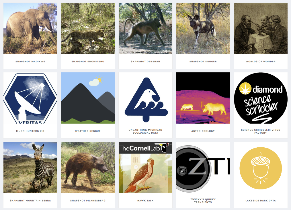 Screen Shot 2019-04-09 at 16.35.40