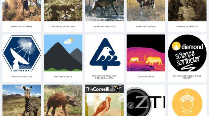 Celebrating citizen science day 2019, PT.2