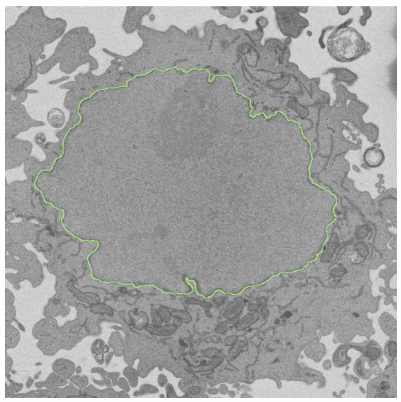 Screen Shot 2019-04-09 at 16.37.51