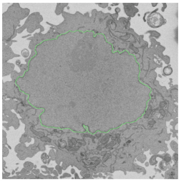 Screen Shot 2019-04-09 at 16.37.51