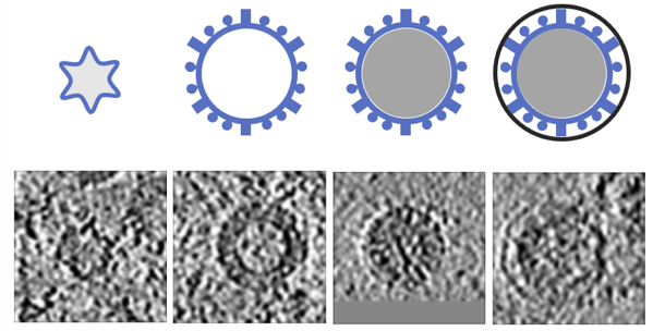 Screen Shot 2019-04-09 at 16.43.06