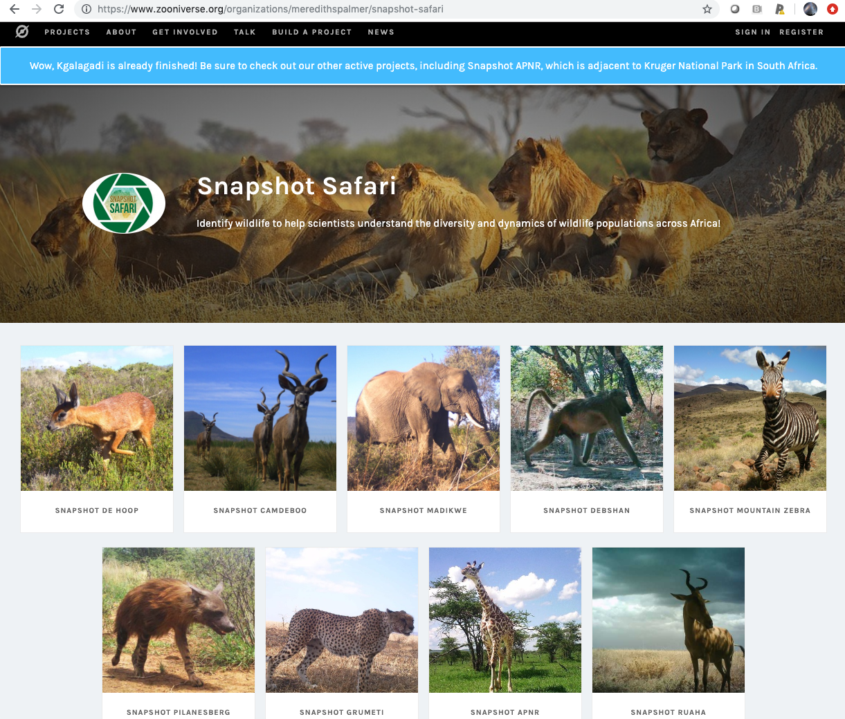 Screen Shot 2019-06-13 at 3.56.42 PM