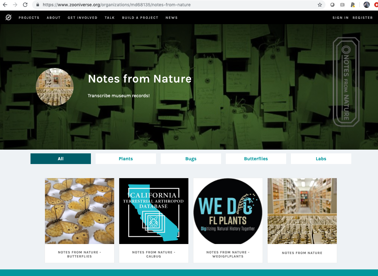 Screen Shot 2019-06-13 at 3.59.42 PM