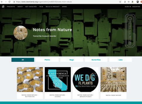 Screen Shot 2019-06-13 at 3.59.42 PM